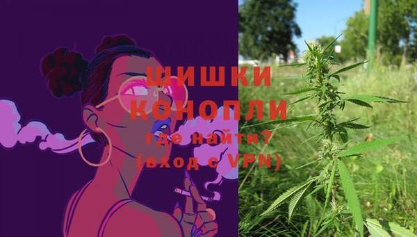 гашик Покровск